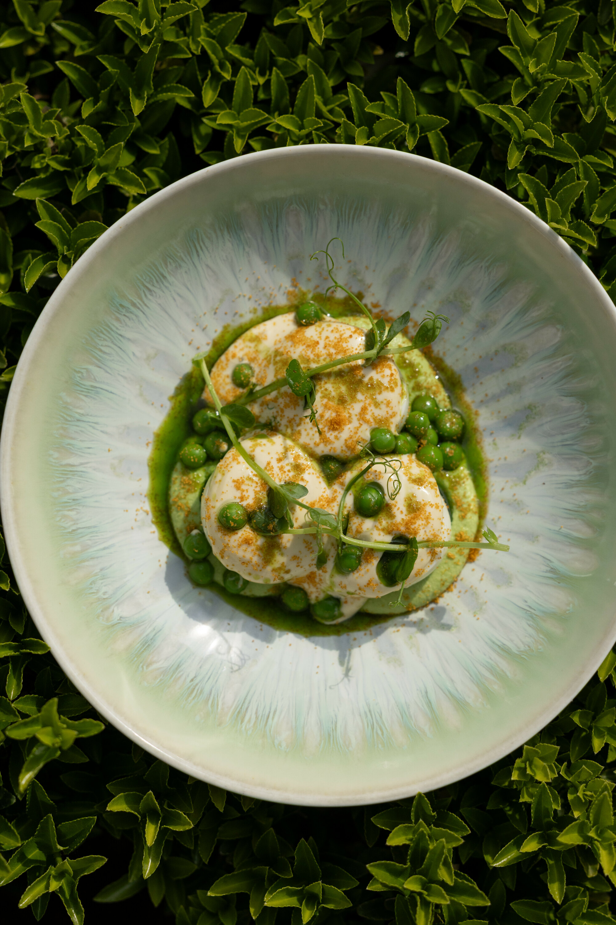 Oeufs mayo, petits pois, huile de menthe et poutargue