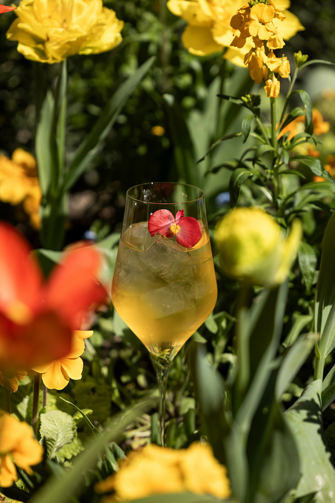 Flower power